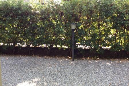 Residence Apuamare Pietrasanta Exterior photo